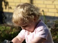 P7071783.JPG - 2008:07:07 18:29:59