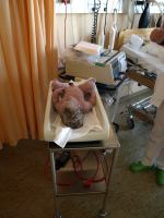 P7271941.JPG - 2008:07:27 19:09:34