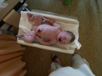 P7271945.JPG - 2008:07:27 19:09:43