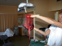 P7271955.JPG - 2008:07:27 19:14:09