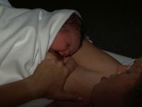 P7271985.JPG - 2008:07:27 20:09:41