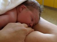 P7271990.JPG - 2008:07:27 20:10:10