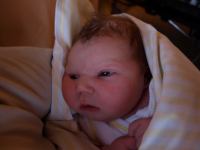 P7272002.JPG - 2008:07:27 21:18:57