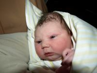 P7272003.JPG - 2008:07:27 21:19:10