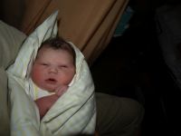 P7272014.JPG - 2008:07:27 21:20:05