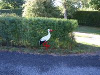 P7282025.JPG - 2008:07:28 07:15:12