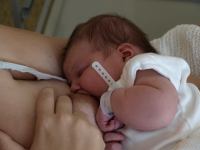 P7282030.JPG - 2008:07:28 09:04:30