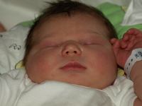 P7282138.JPG - 2008:07:28 19:00:23