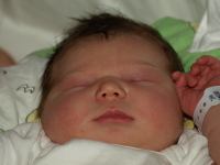 P7282139.JPG - 2008:07:28 19:00:27