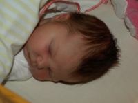 P7292183.JPG - 2008:07:29 18:54:45