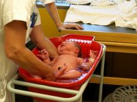 P7302195.JPG - 2008:07:30 10:25:55