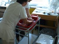 P7302196.JPG - 2008:07:30 10:26:06