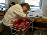 P7302199.JPG - 2008:07:30 10:26:28