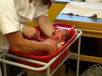 P7302201.JPG - 2008:07:30 10:27:14