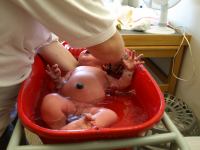 P7302202.JPG - 2008:07:30 10:27:48