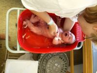 P7302203.JPG - 2008:07:30 10:28:07