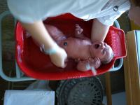 P7302204.JPG - 2008:07:30 10:28:13