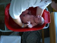 P7302205.JPG - 2008:07:30 10:28:14