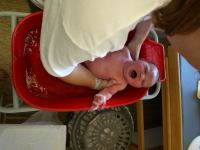 P7302206.JPG - 2008:07:30 10:28:16