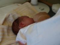 P7302218.JPG - 2008:07:30 10:30:03