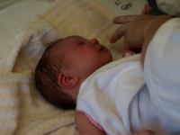 P7302219.JPG - 2008:07:30 10:30:08