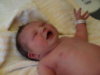 P7302220.JPG - 2008:07:30 10:30:15