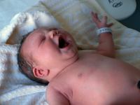 P7302221.JPG - 2008:07:30 10:30:15