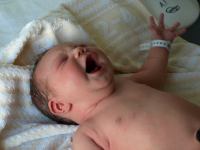 P7302222.JPG - 2008:07:30 10:30:16