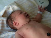 P7302224.JPG - 2008:07:30 10:30:17