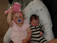 P7312254.JPG - 2008:07:31 16:18:24