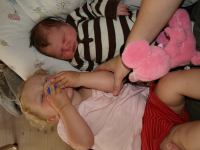 P7312267.JPG - 2008:07:31 16:19:20