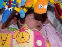 P8032322.jpg - 2008:08:03 16:26:49