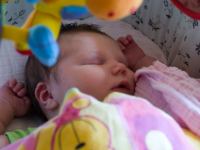 P8032323.jpg - 2008:08:03 16:26:57