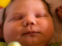 P8032334.jpg - 2008:08:03 16:27:16