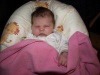 P8052392.jpg - 2008:08:05 21:29:50