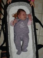 P8102407.JPG - 2008:08:10 11:06:02