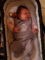 P8102410.JPG - 2008:08:10 11:06:28