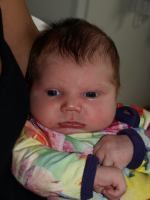 P8112412.JPG - 2008:08:11 12:27:59