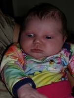 P8112423.JPG - 2008:08:11 12:46:50