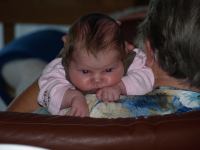 P8112435.JPG - 2008:08:11 19:45:16