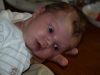 P8122442.JPG - 2008:08:12 18:27:15