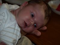 P8122443.JPG - 2008:08:12 18:27:20