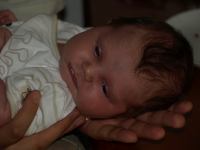 P8122444.JPG - 2008:08:12 18:27:43