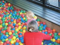 P8132453.JPG - 2008:08:13 14:35:14