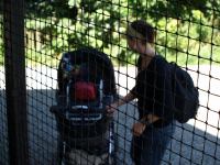 P8132457.JPG - 2008:08:13 14:35:43