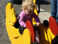 P8132461.JPG - 2008:08:13 14:51:28