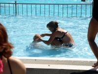 P8132492.JPG - 2008:08:13 15:11:33