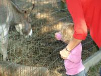 P8132503.JPG - 2008:08:13 16:07:39