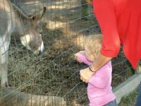 P8132504.JPG - 2008:08:13 16:07:41