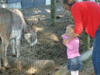 P8132505.JPG - 2008:08:13 16:07:48